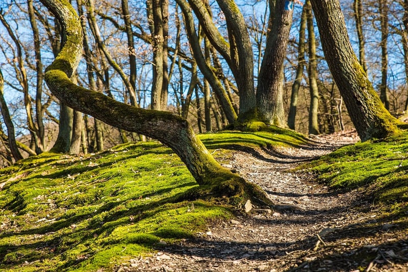 Historical Trails